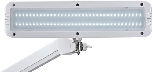 Bureaulamp MAUL Intro LED tafelklem dimbaar wit-2
