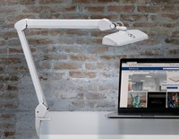 Bureaulamp MAUL Intro LED tafelklem dimbaar wit-3