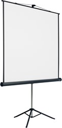Projectiescherm Smit Visual Statief 180x180cm 1:1