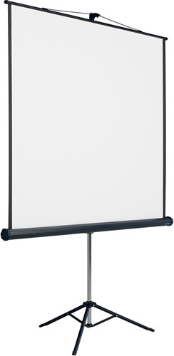 Projectiescherm Smit Visual Statief 180x180cm 1:1