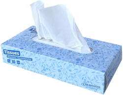 Facial tissues Cleaninq 2-laags 100 stuks