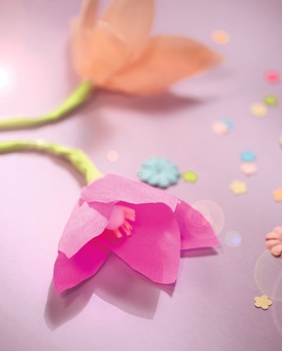 Crepepapier Folia 250x50cm #140 kerstgroen-3