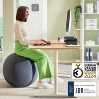 Actieve zitbal Leitz Ergo 75cm anti-rol donkergrijs-14