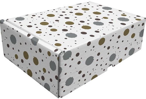 Postpakketbox Raadhuis 240x170x80mm spetter desin 5 stuks