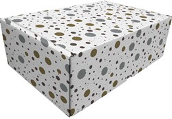 Postpakketbox Raadhuis 305x215x110mm spetter dessin 5 stuks