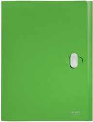 Documentenbox Leitz 4623 Recycle A4 PP groen