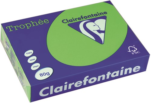 Printpapier Trophée A4 80 grams grasgroen 500 vel