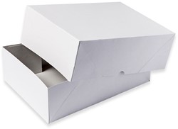 Paraatdoos Dijkgraaf A4 306x215x50mm wit voor 500 vel 10 stuks