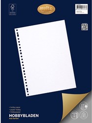 Ringbandpapier Multo A4 23-rings 20 vel 140 grams hobbybladen