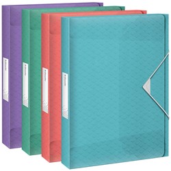 Elastobox Esselte Colour Breeze A4 25mm PP assorti