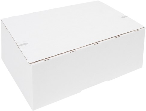Postpakketbox IEZZY 2 200x140x80mm wit | afname per 5 stuks