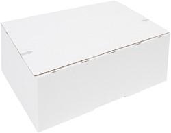 Postpakketbox IEZZY 4 305x215x110mm wit | afname per 5 stuks