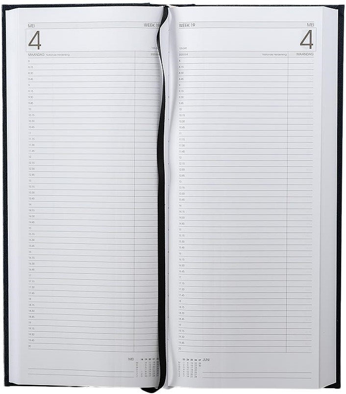 Agenda Ryam Efficiency 1d/2p 14x34cm omslag zwart