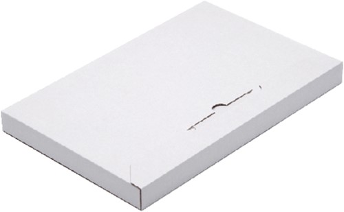 Brievenbusbox CleverPack A4 350x230x26mm karton wit 5 stuks