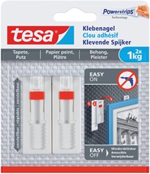 Klevende spijker Tesa behang en pleisterwerk verstelbaar 1kg