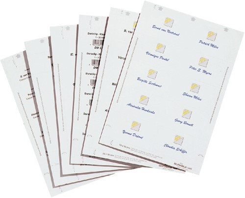 Badgekaartjes Durable 1456 bedrukbaar 60x90mm 160 stuks