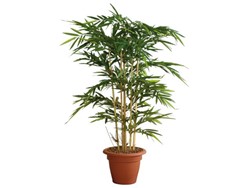 Kunstplanten