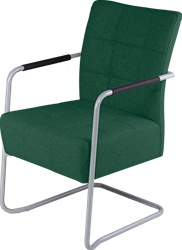 Vergaderstoel Huislijn Alfa Plus HSP0110 sledeframe groen