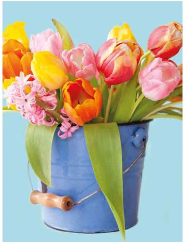 Wenskaart + envelop Artige collectie Maximaal A4: Bloemen in emmer MAX026